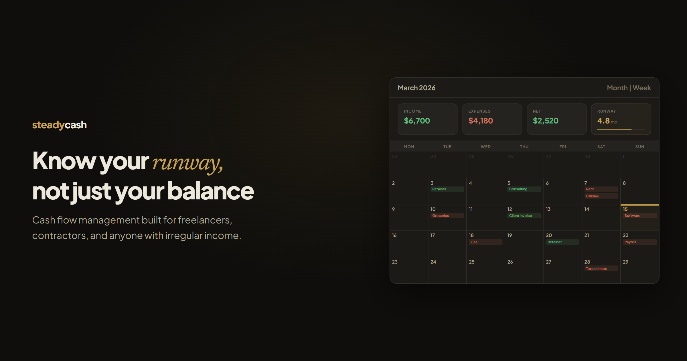 SteadyCash screenshot 1 of 1